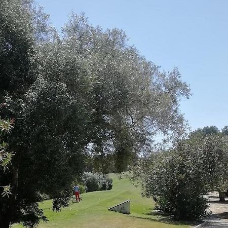 Casa Joleen 2 Villamartin  Dış mekan fotoğraf