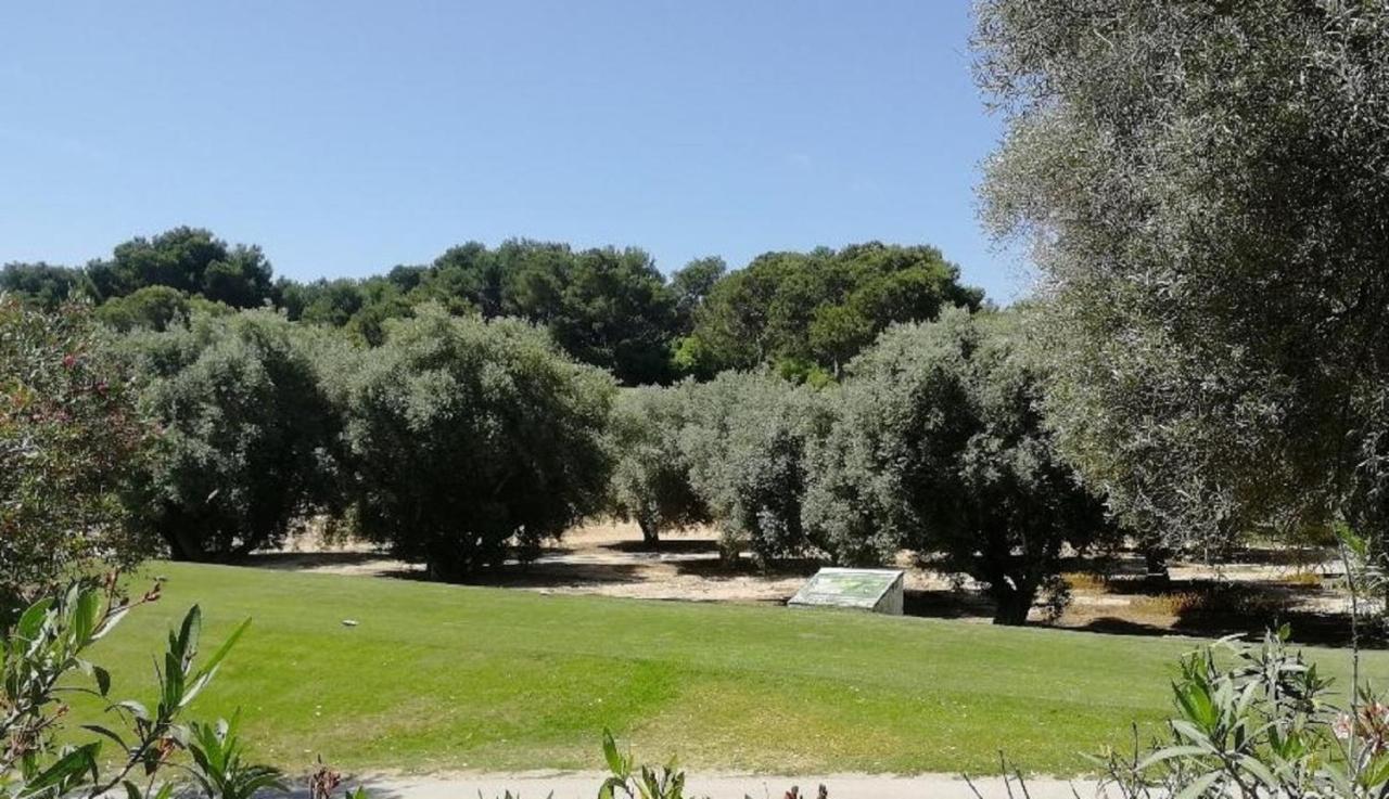 Casa Joleen 2 Villamartin  Dış mekan fotoğraf